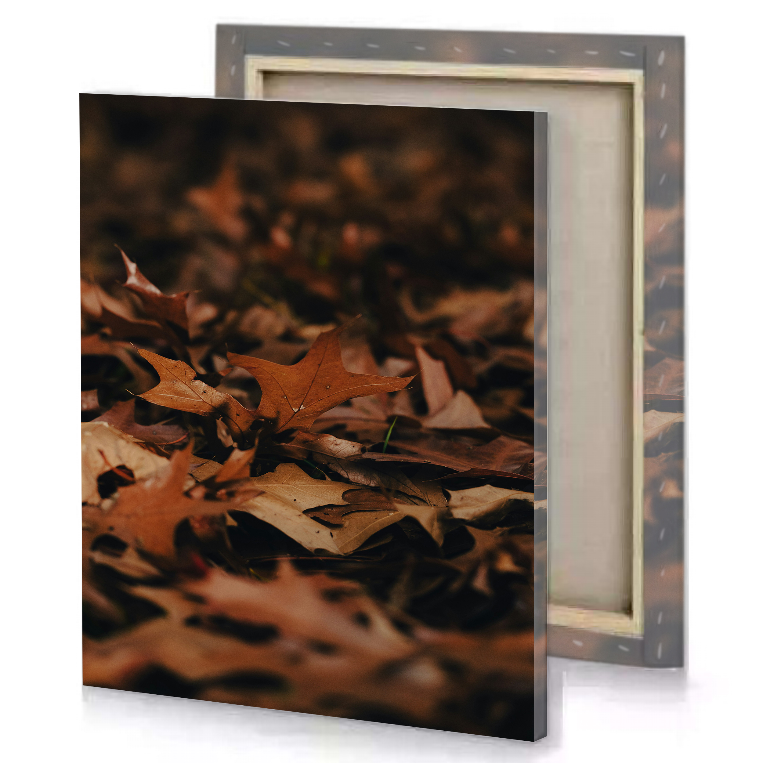 Autumn Leaves Canvas