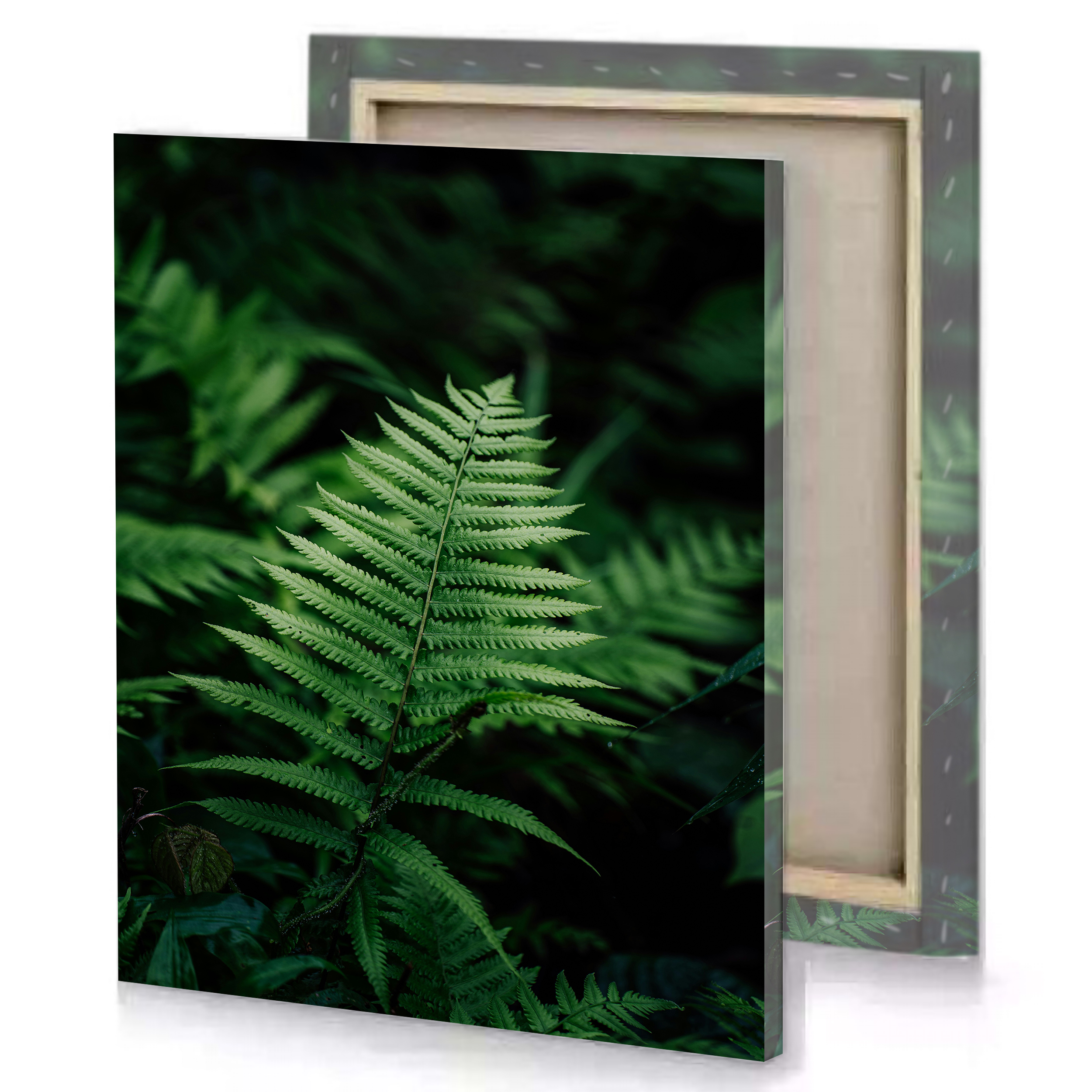 Fern Tree Leaves Canvas