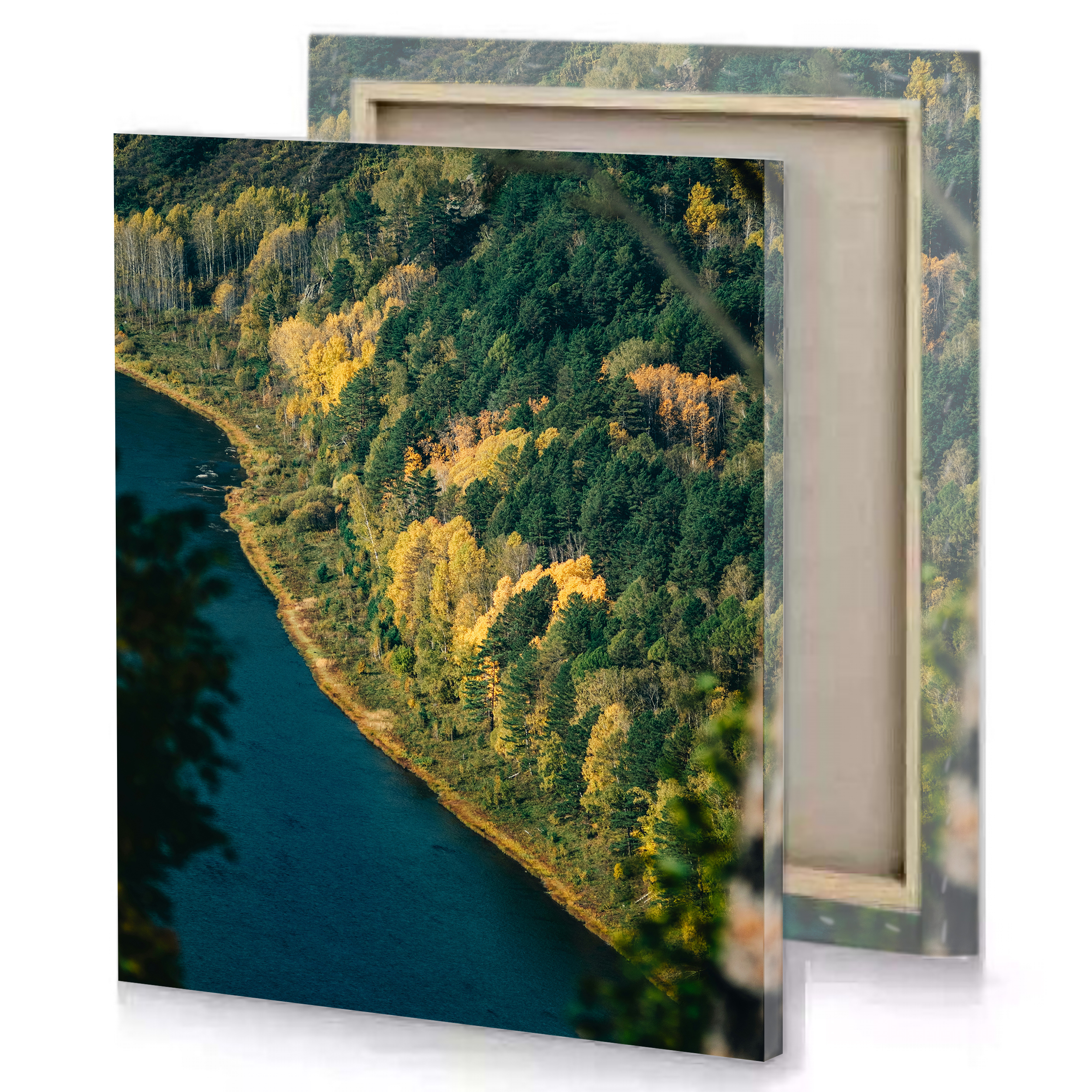 Forest and Lake Canvas