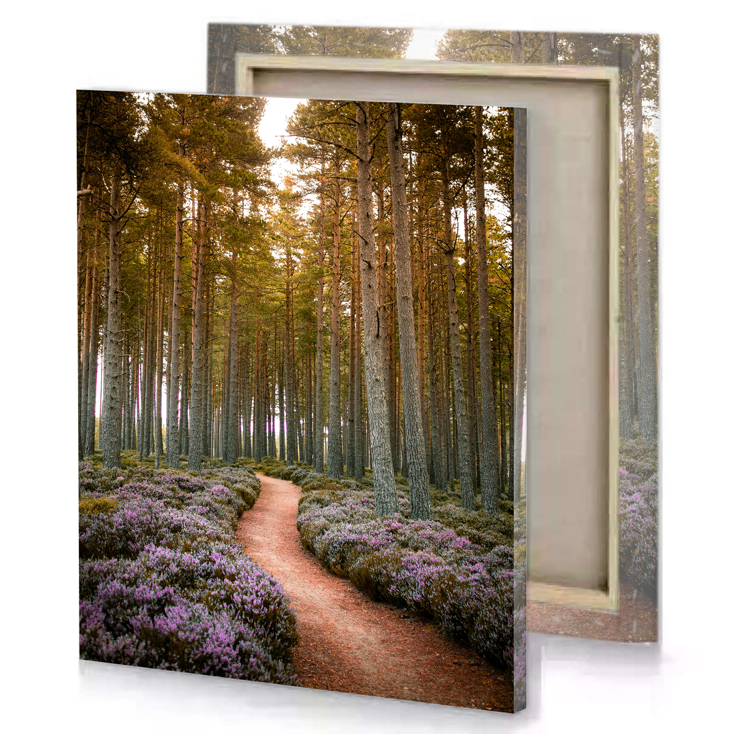 Forest Path with Purple Flowers Canvas