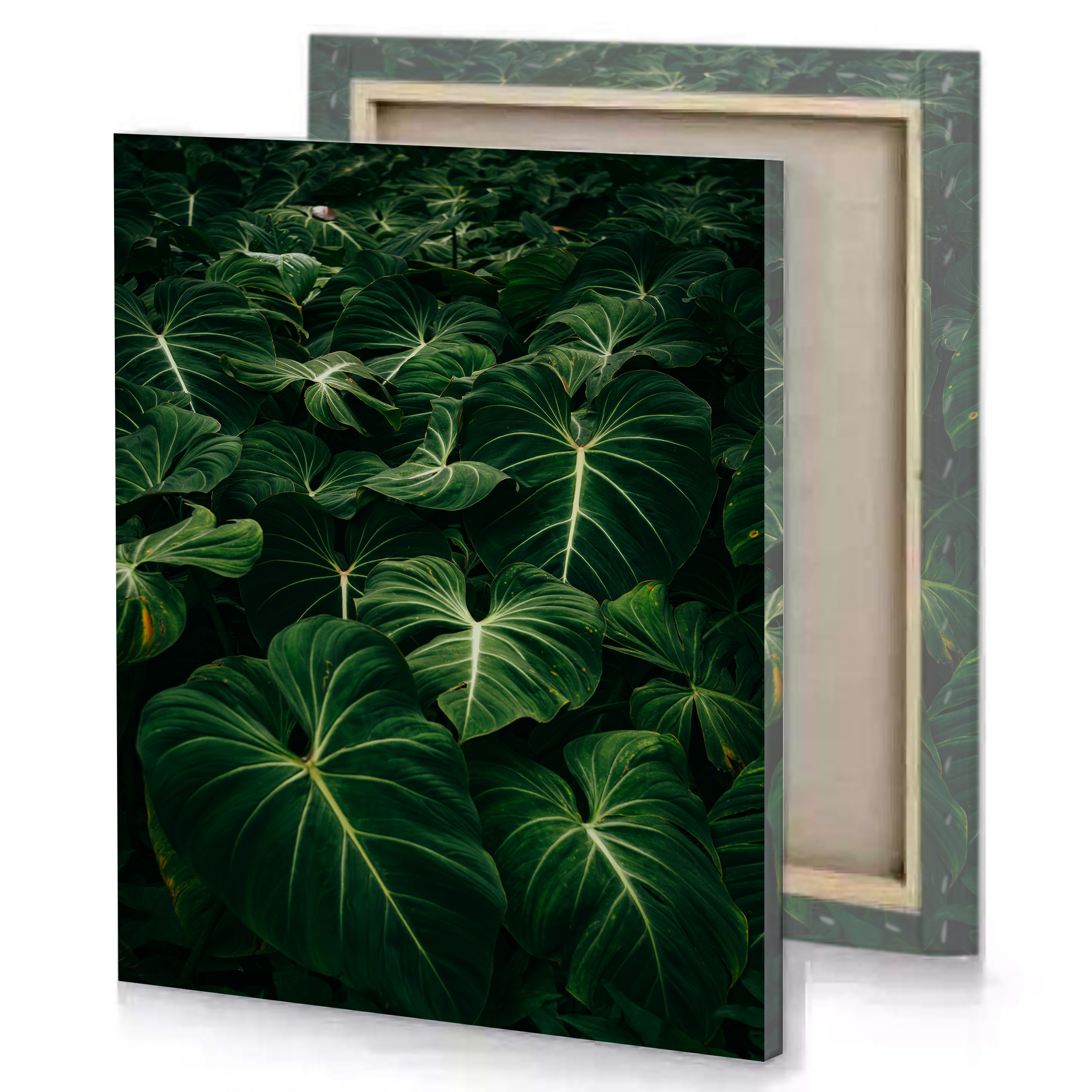 Green Leaves Forest Canvas