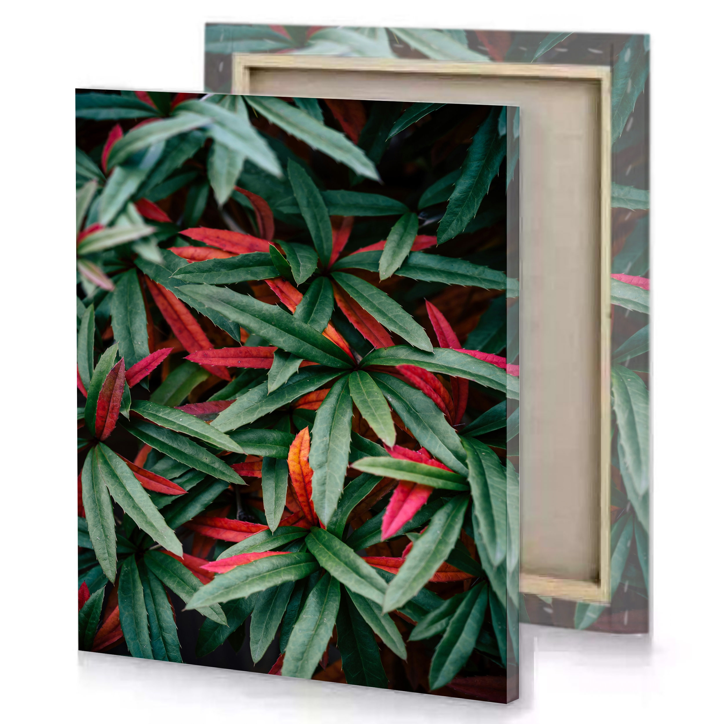 Green Red Plant Leaves Canvas