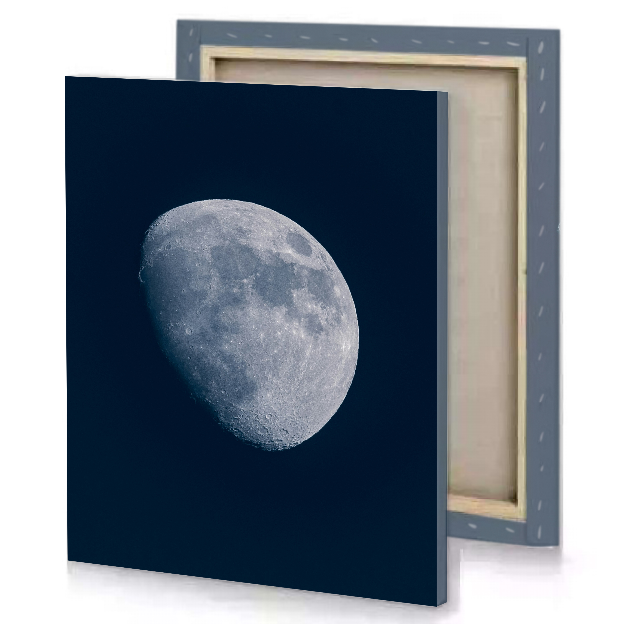 Moon Night View Canvas