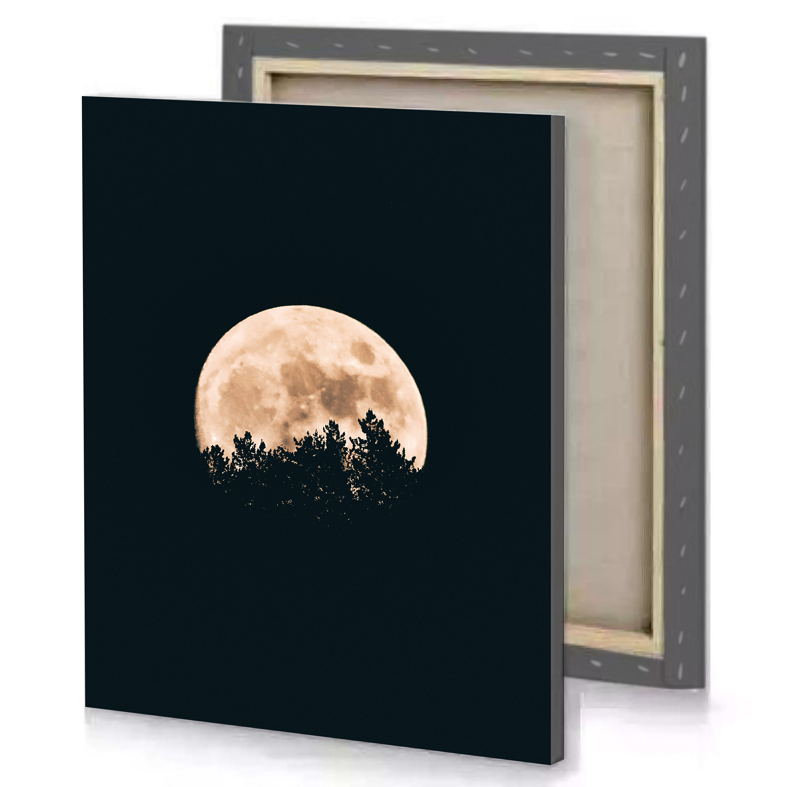 Moon Trees Night Canvas