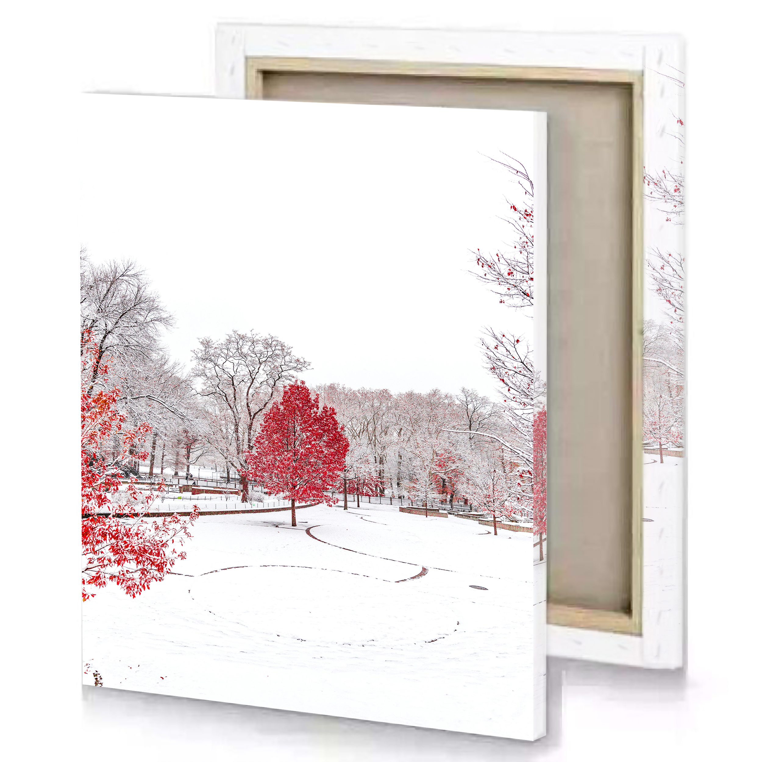 Pink Tree in Snow Canvas