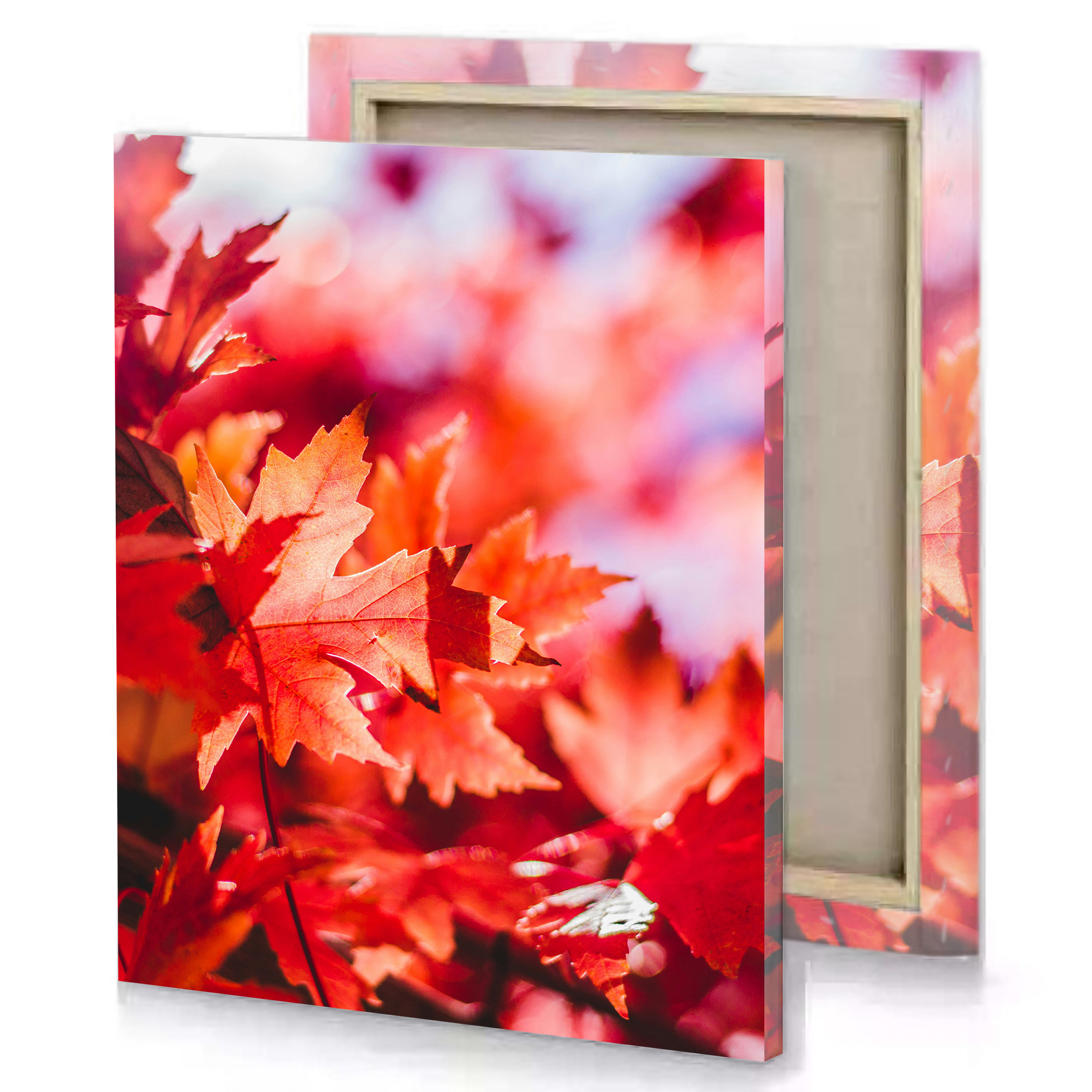 Red Oak Tree Leaves Canvas