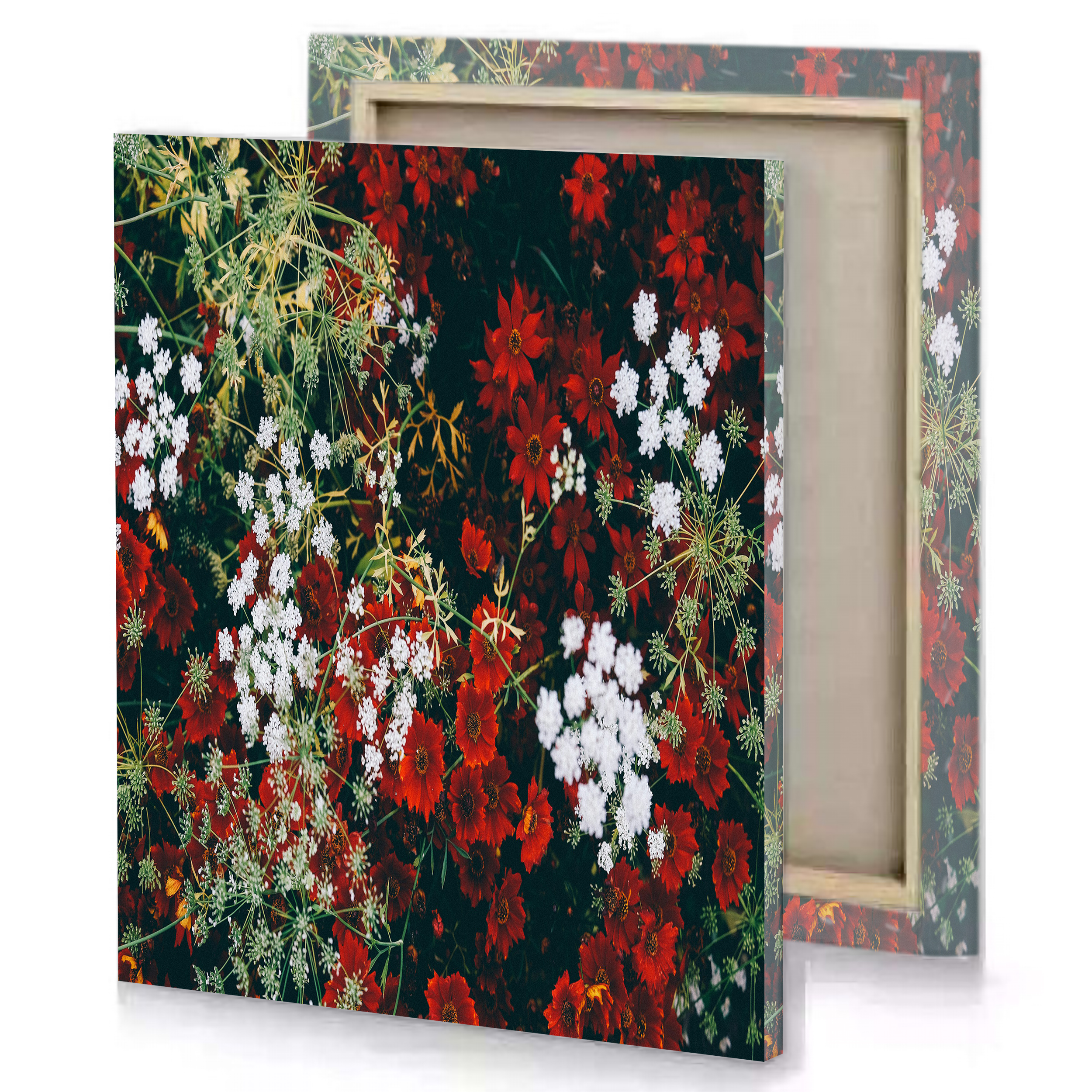 Red White and Green Plant Bush Canvas