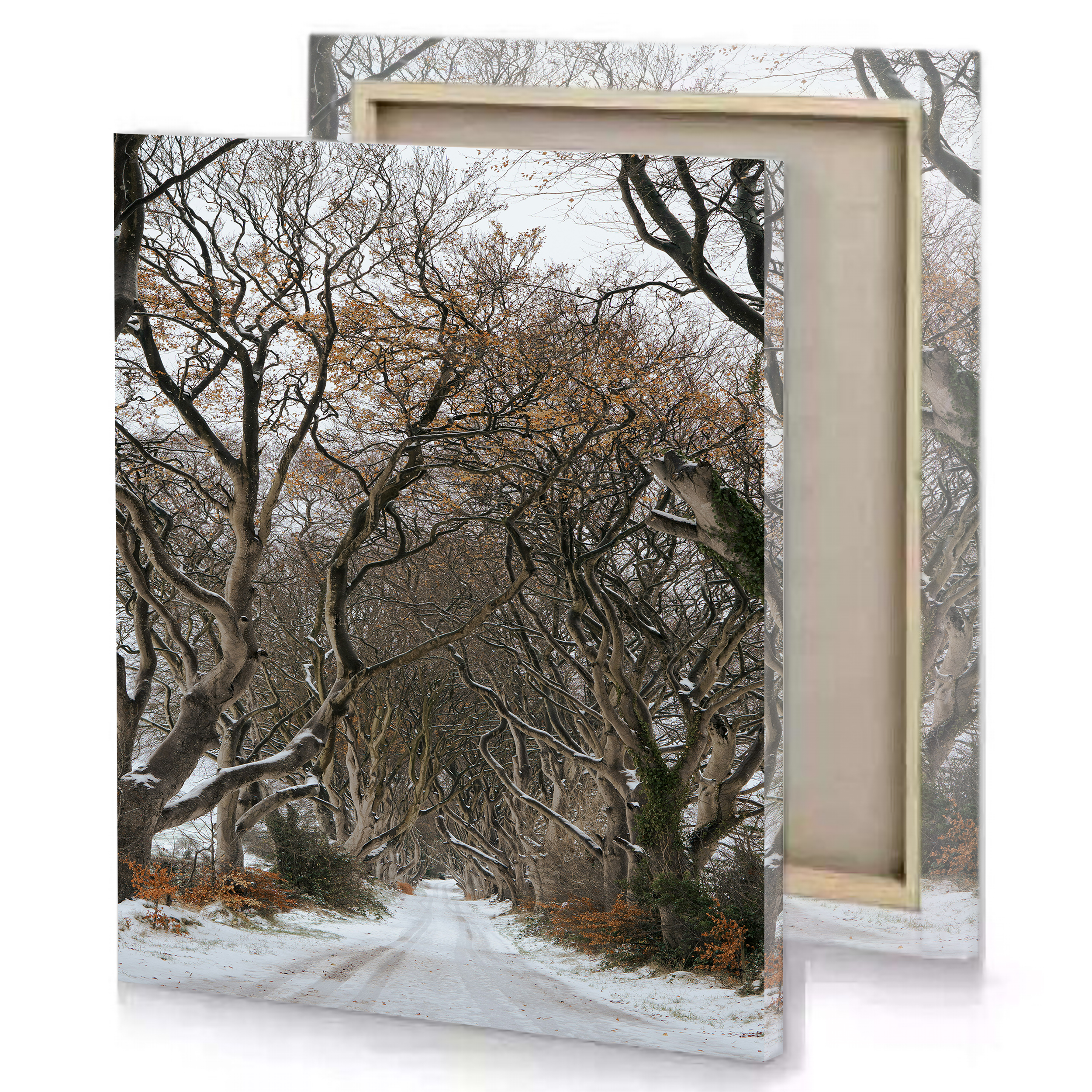 Snow Forest Road Canvas