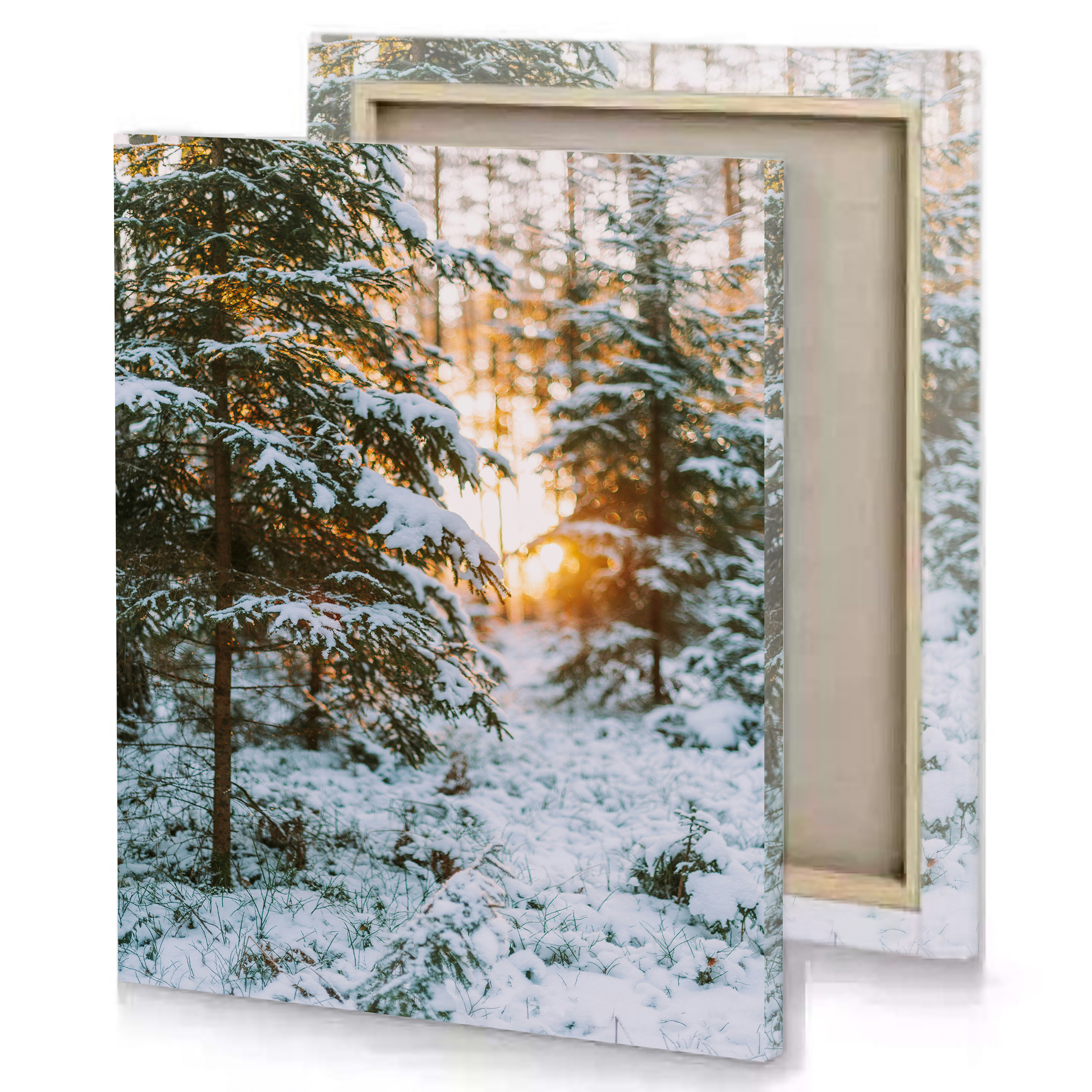 Snow Hill Side Trees Canvas