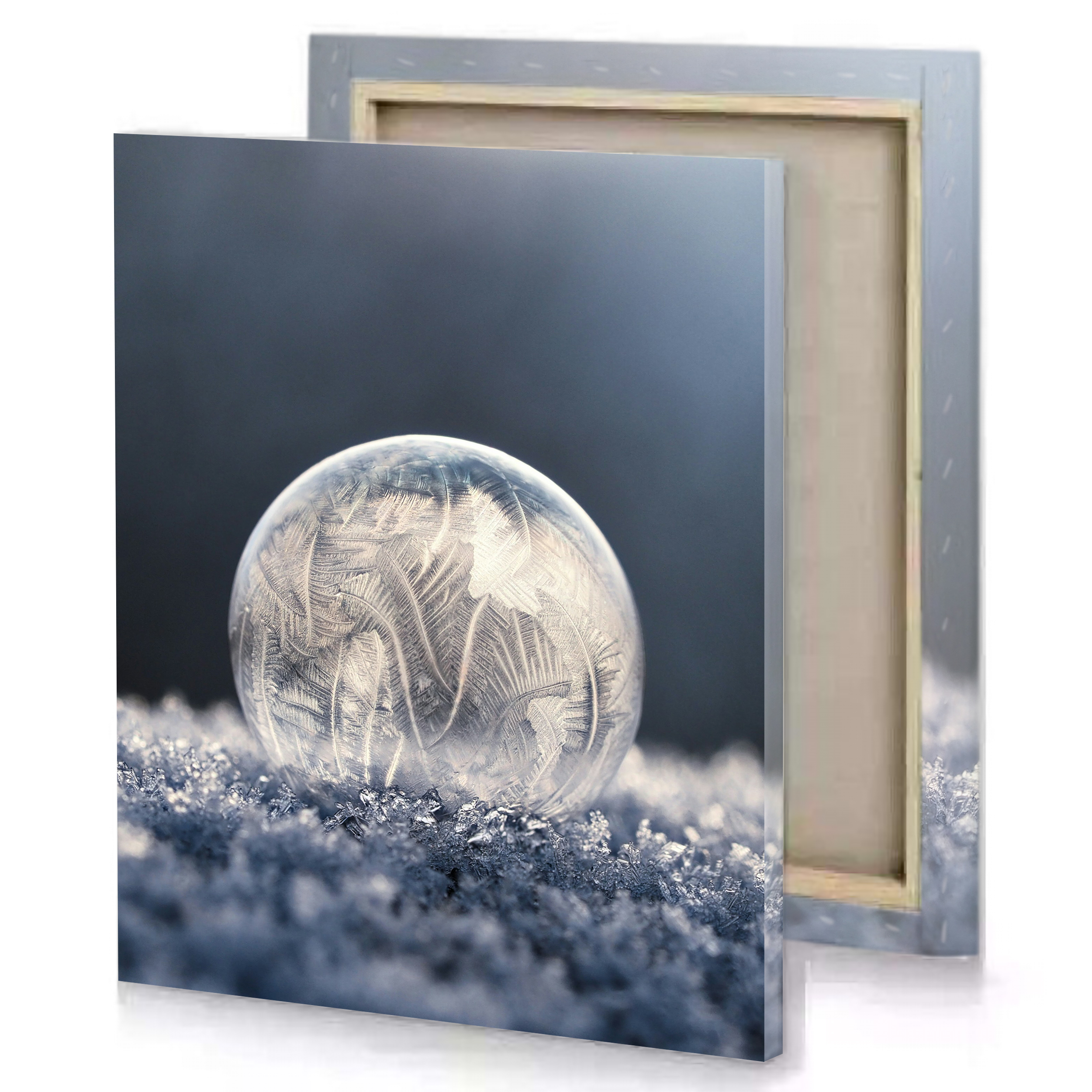 Snow Winter Crystall Ball Canvas