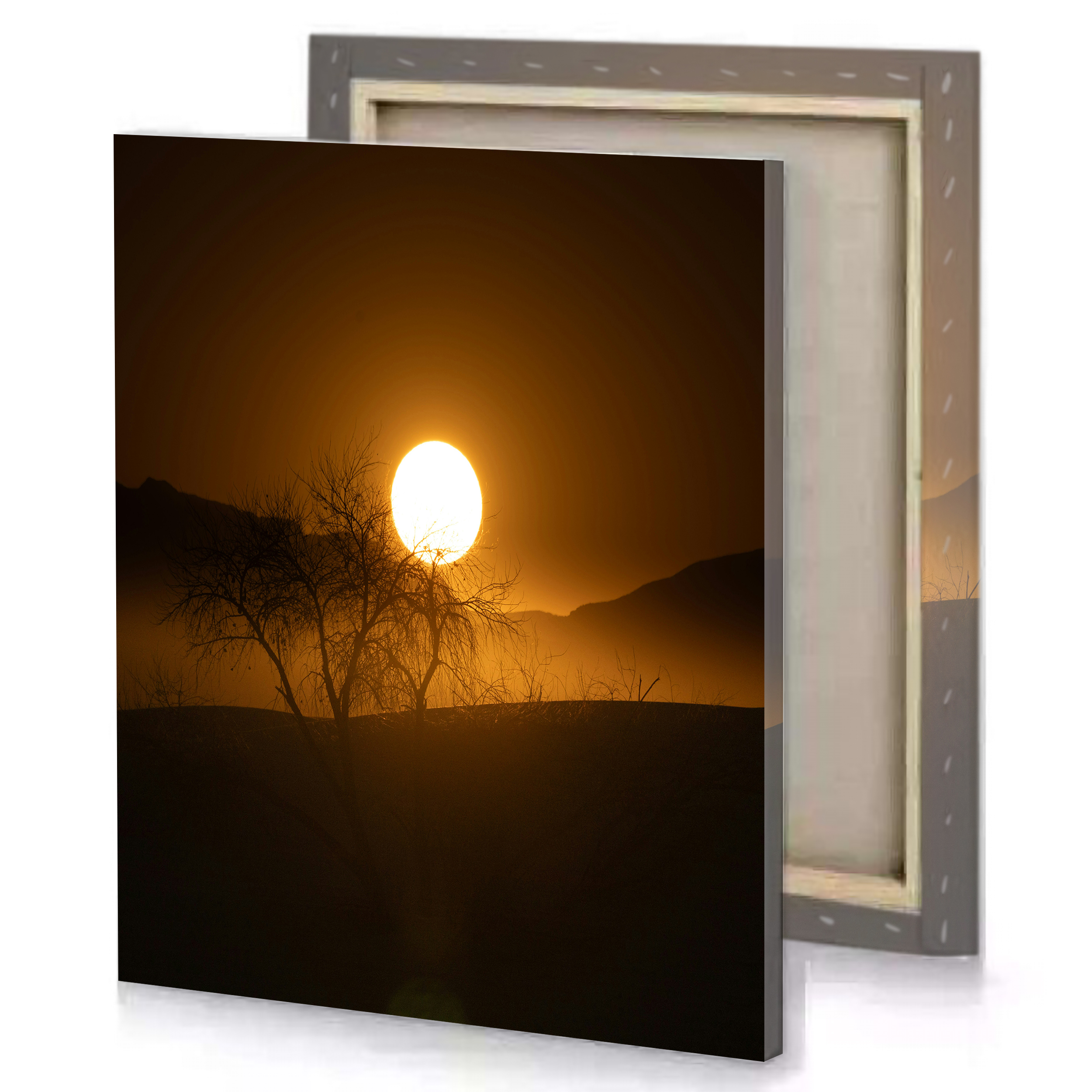 Sunset Trees Canvas