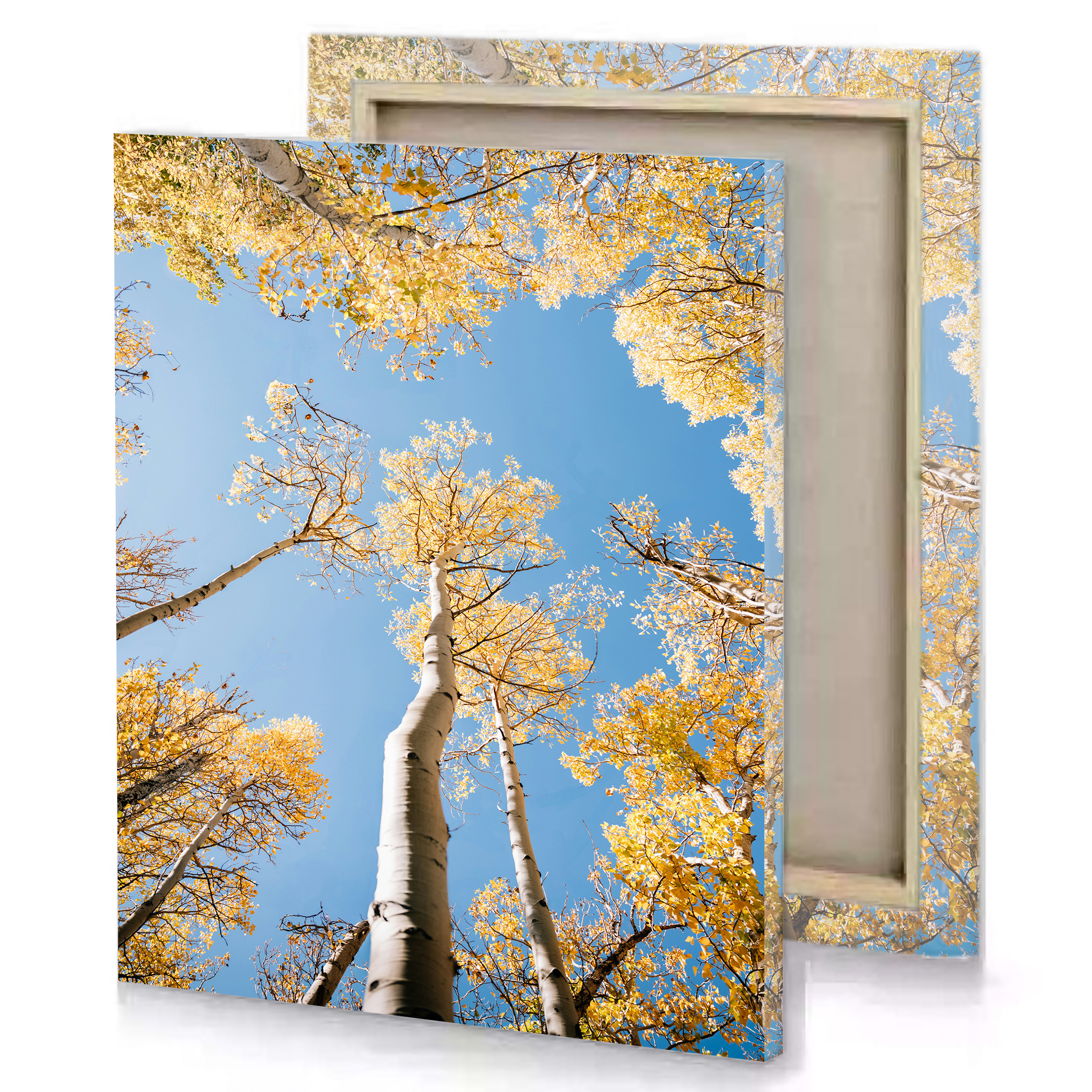 Tree Yellow Autumn Canvas