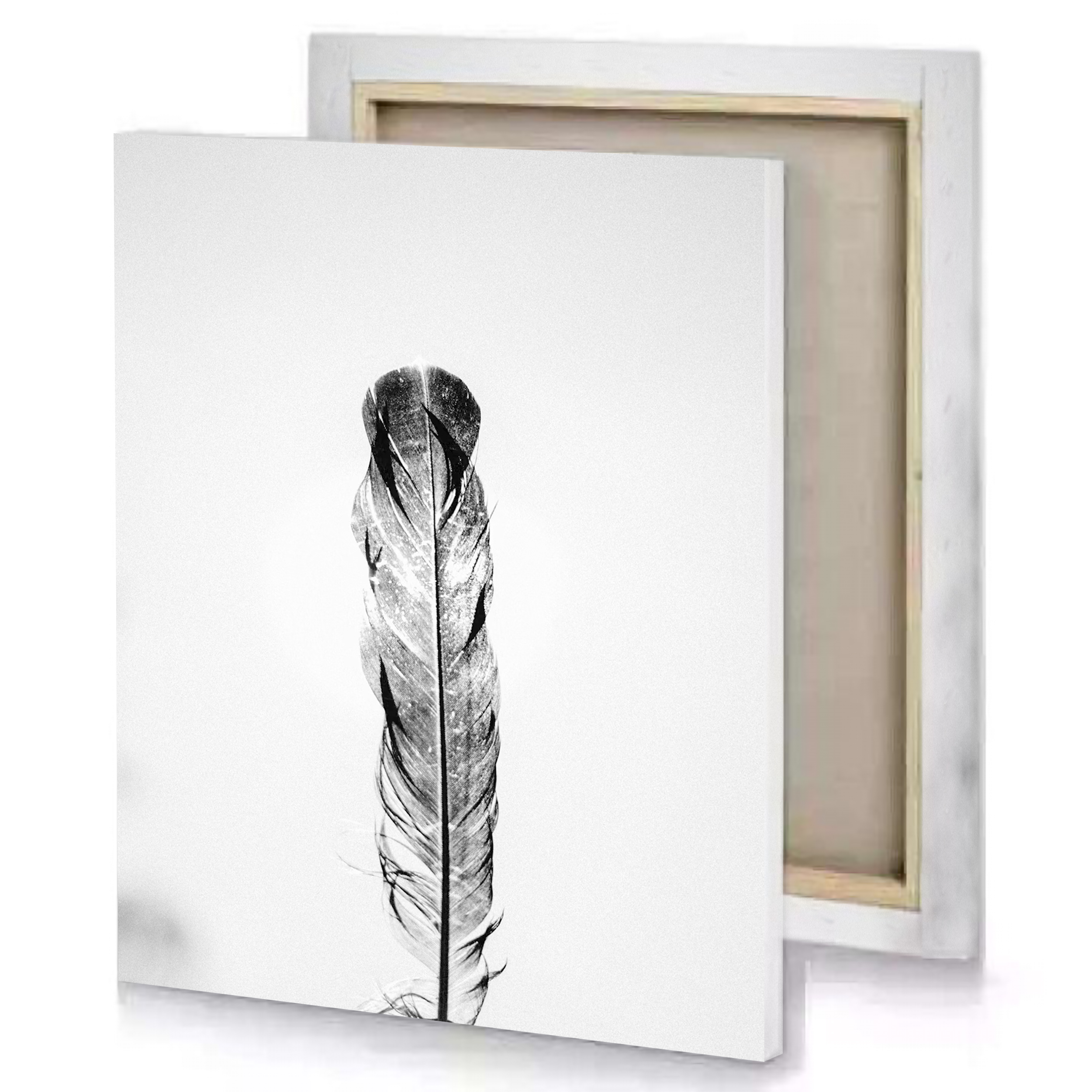 White Feather Abstract Canvas